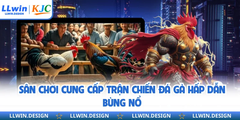 Sân chơi cung cấp trận chiến đá gà hấp dẫn bùng nổ
