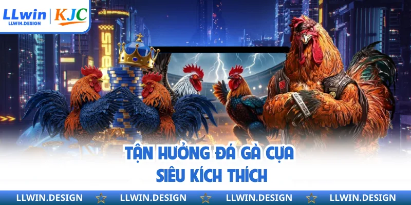 Tận hưởng đá gà cựa siêu kích thích
