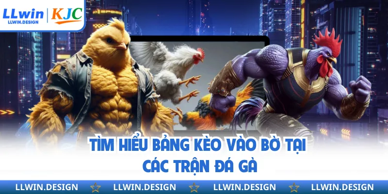 Tìm hiểu bảng kèo vào bờ tại các trận đá gà